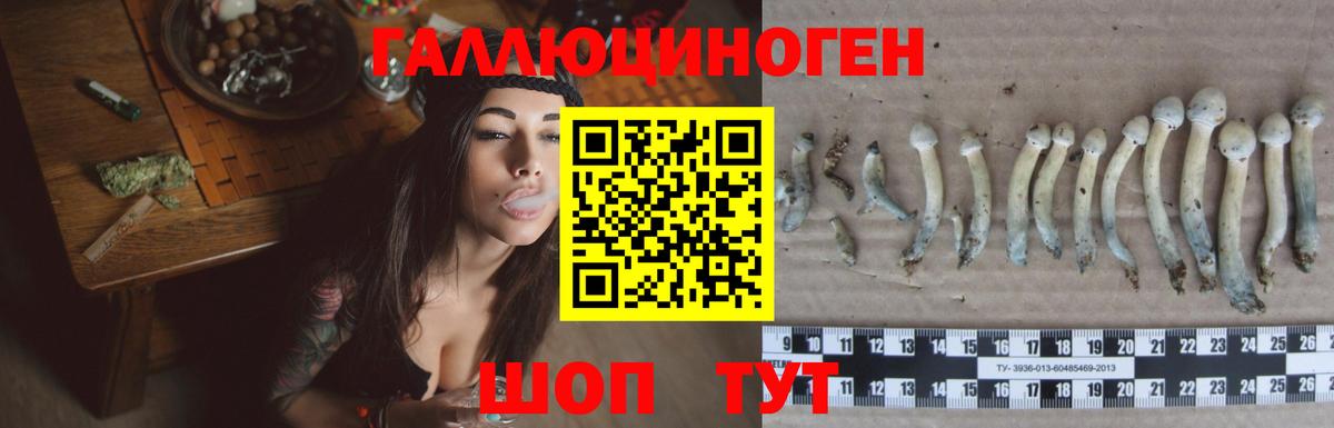 Галлюциногенные грибы мухоморы  Вход с VPN  Псилоцибиновые грибы мицелий  Миллерово 